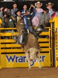 LJS_nfr 12 4 cody teel 1778.JPG