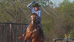 Patrick Smith Equinety Barn Check - frame at 3m46s.jpg