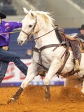 Shane Hanchey..jpg