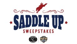 Saddle Up Sweepstakes